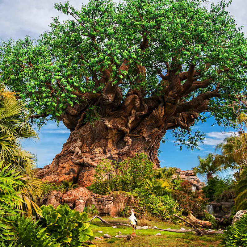 Animal Kingdom