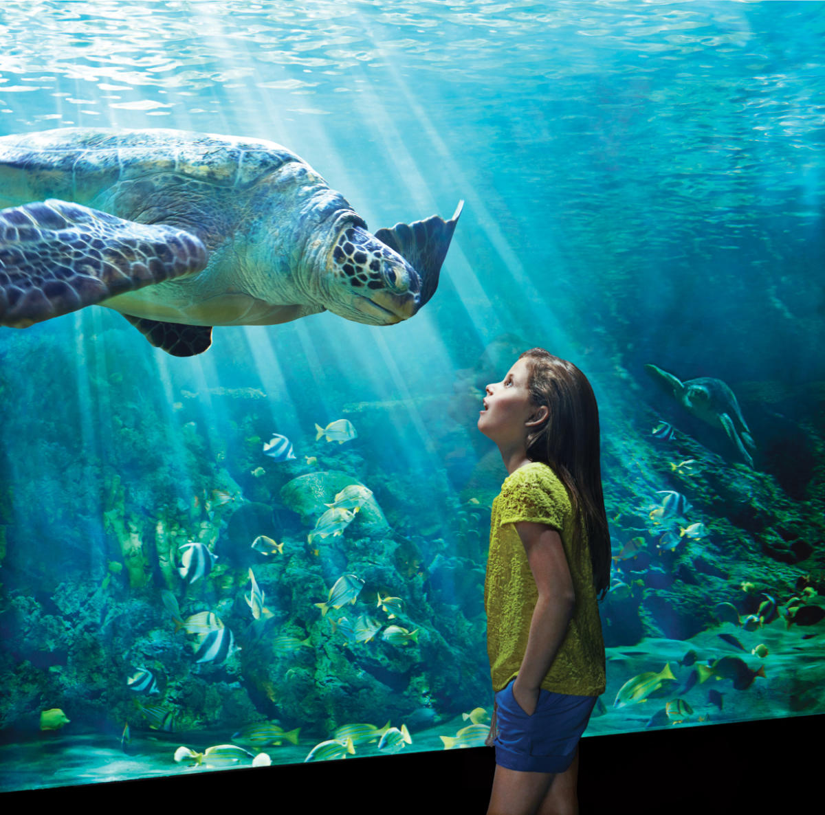 SeaWorld